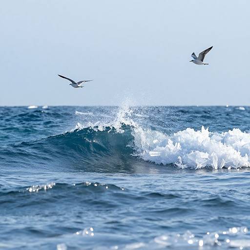 Frozen Ocean Waves with Slow Birds