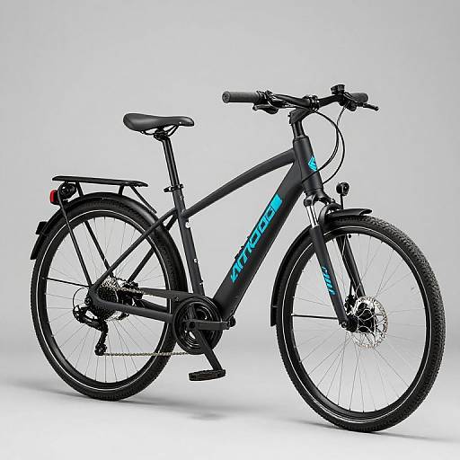 2019 EMOJO Panther Electric Bike