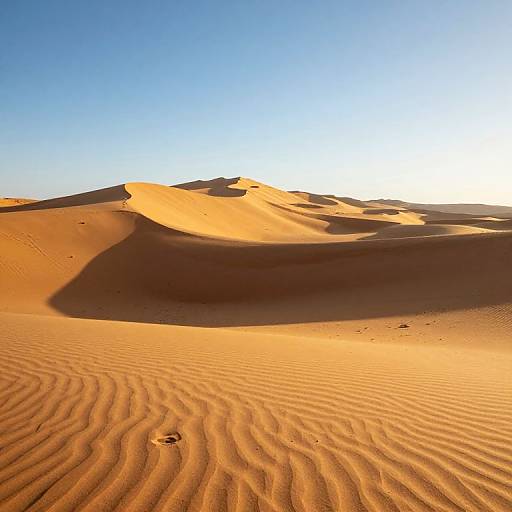 Photograph of golden desert sand dunes under a clear blue sky. Ripples in the sand cast intricate shadows, with a single footprint visible in the