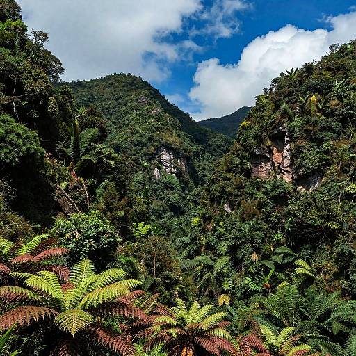Vibrant Lush Green Mountain Range