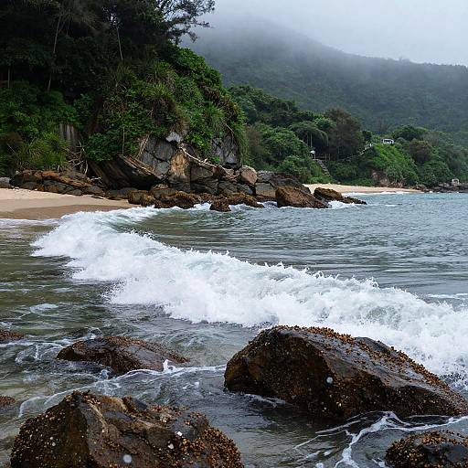 Photograph of a misty, rocky beach with white waves crashing against dark rocks, lush greenery on the hillside, and foggy mountains in
