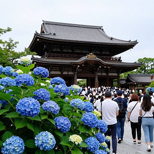 Photograph of a traditional Japanese torii gate with a crowd, surrounded by vibrant blue and white hydrangeas, under a cloudy sky.