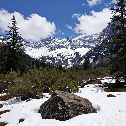 Photograph of a snowy mountain landscape with evergreen trees, a large rock in the foreground, and snow-capped peaks under a bright blue sky with