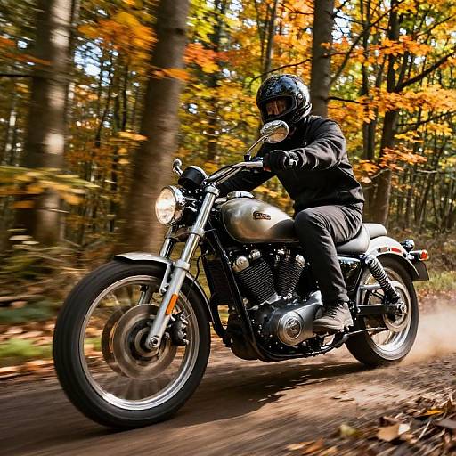 Photograph of a motorcyclist in black gear and helmet, riding a silver motorcycle through a vibrant autumn forest.