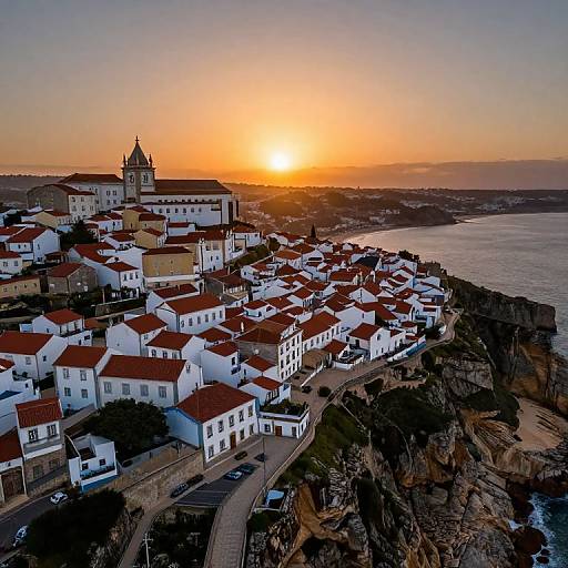 Sunset Telepathy Over Mata do Buçaco
