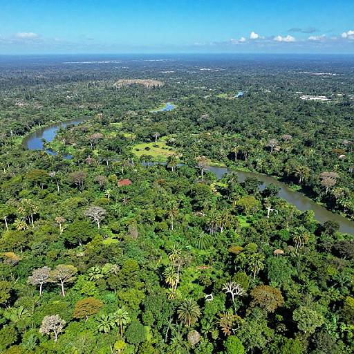 Bird's-Eye View of Earth's Paradise