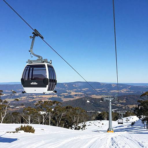 Sleek Cable Cars Over Snowy Slopes