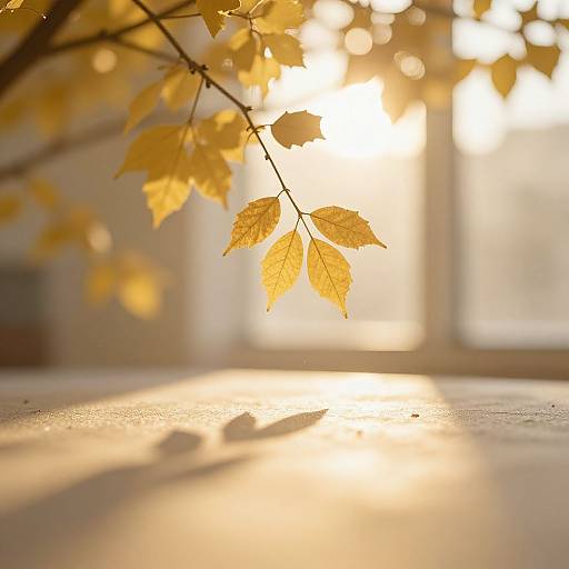 Photograph of golden-yellow leaves in sunlight, casting soft shadows on a smooth, reflective surface, with a blurred background.