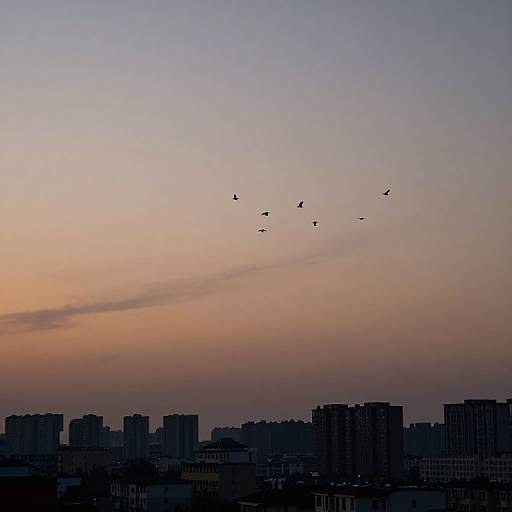 Photograph of a city skyline at sunset, featuring silhouetted buildings and a flock of birds flying against a gradient sky from orange to purple.
