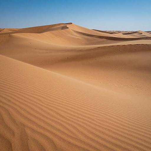 Photograph of a vast desert with smooth, rippled sand dunes under a clear, bright blue sky. Sunlight casts shadows, highlighting the d