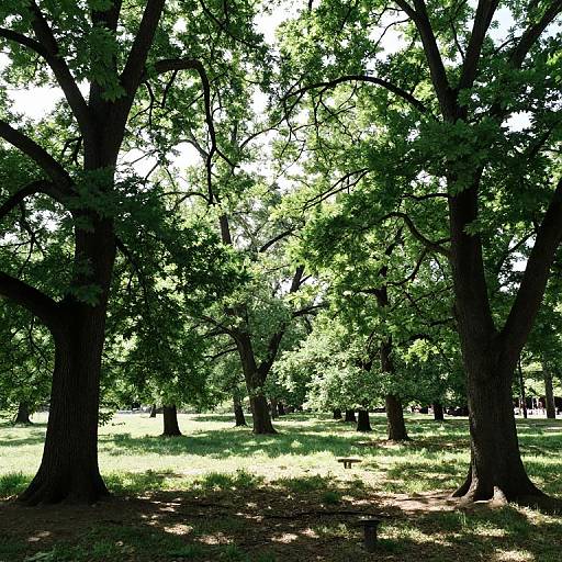 Whispering Leaves of Forgotten Languages