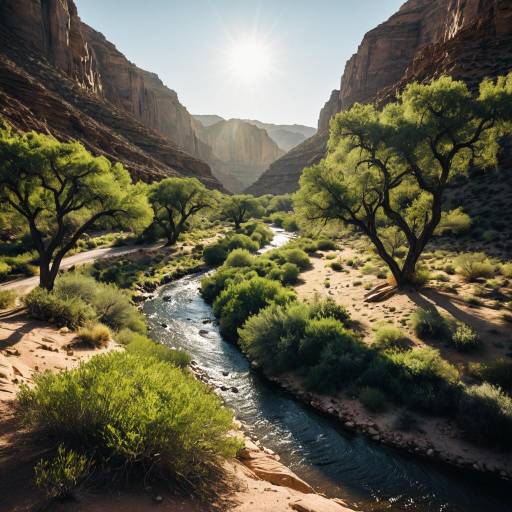Sunlit Desert Canyon with Winding River