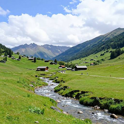 Serene Mountain Stream Valley