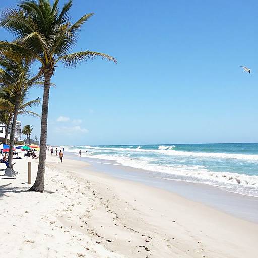 Bright, sunny beach photograph featuring white sand, clear blue sky, palm trees, and gentle ocean waves with scattered beachgoers.