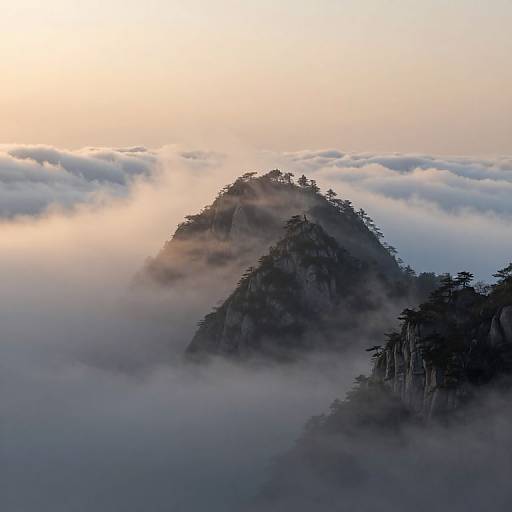Photograph of a misty mountain peak with dense fog enveloping the lower slopes, silhouetted trees, and a soft, pastel sunset