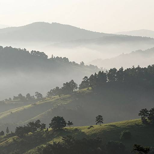 Photograph of a misty, hilly landscape with rolling green hills, scattered trees, and layered fog-covered mountains in soft, ethereal light.