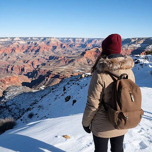Woman Gazing Over Snow Canyon Vista