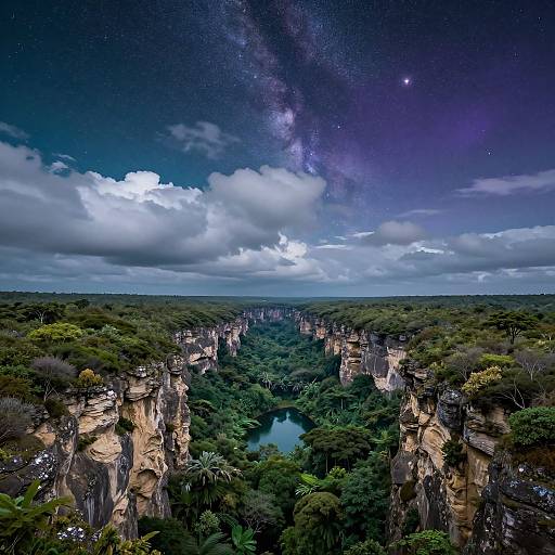 Aerial photograph of a lush, green canyon with towering cliffs under a starry, Milky Way-filled night sky, partially covered by clouds.