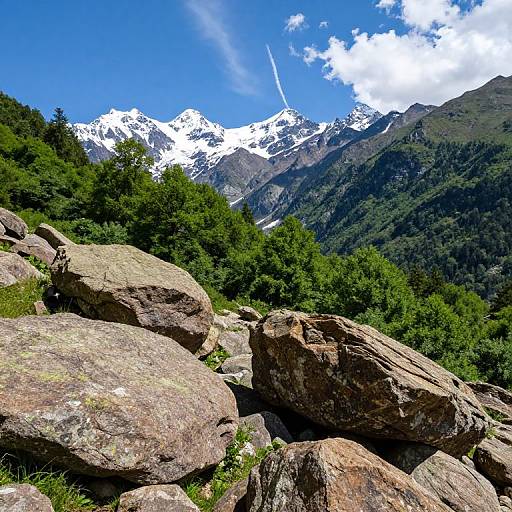 Photograph of a vibrant mountain landscape with large, textured rocks in the foreground, dense green trees, and snow-capped peaks under a bright blue sky