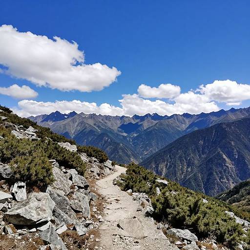 Photograph of a rocky mountain trail with scattered bushes, leading to a range of majestic, blue-tinged mountains under a vibrant, cloud-dotted