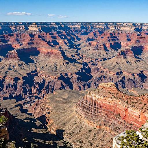 Photograph of the Grand Canyon's rugged, multi-layered rock formations in vibrant reds, oranges, and browns, with deep blue shadows beneath