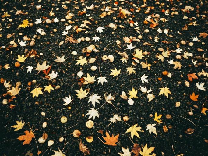 Close-Up Fall Leaves Background Wallpaper