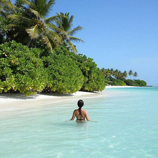 Photograph of a shirtless man with dark hair standing in clear, turquoise water, facing lush, green palm trees under a bright blue sky. Tropical