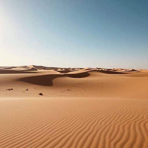 Photograph of a vast, sunlit desert with rippled sand dunes, small sparse vegetation, and a clear blue sky. Warm orange hues contrast