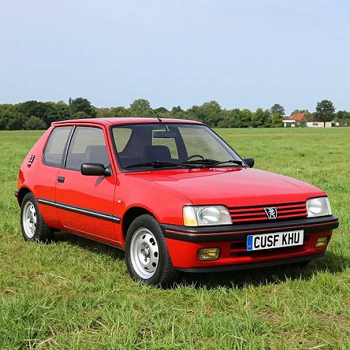 Classic 1987 Peugeot 205 GTI Red