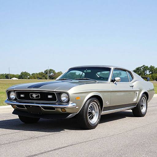 Vintage 1971 Ford Mustang