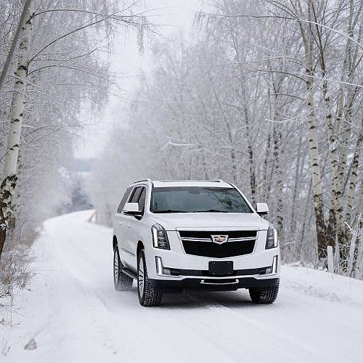Cadillac Escalade on Snowy Birch Road
