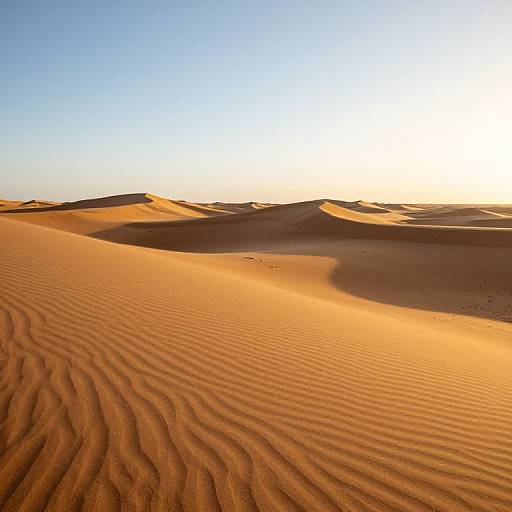Photograph of a sunlit desert with rippled sand dunes under a clear, bright blue sky at sunset, casting warm golden hues.