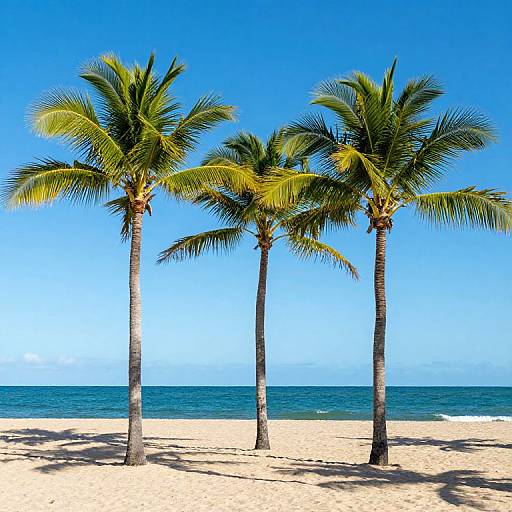 Vibrant Royal Palms in Tropical Paradise