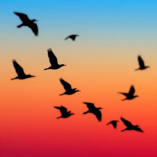 Silhouette of nine birds flying against a gradient sunset sky, transitioning from blue to orange to red. Digital art.