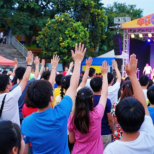 Vibrant Outdoor Concert Crowd