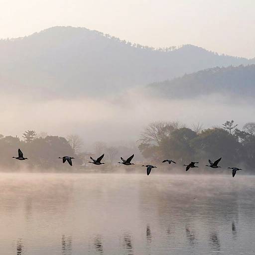 Flock in Harmony Over Mountain Lake