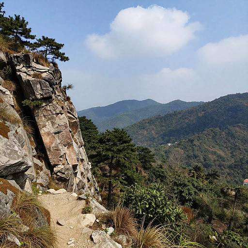 Photorealistic Mountainous Forest Landscape