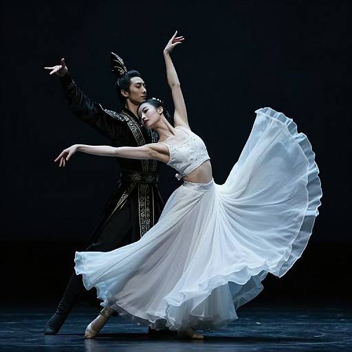 Photograph of a male and female ballroom dancer; he in black, ornate attire, she in flowing white dress, mid-performance, dark background