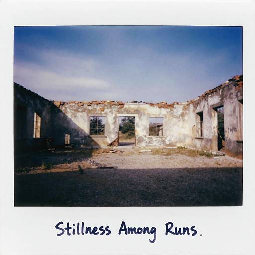 Liminal Stillness Polaroid Ruins