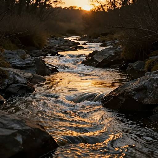 Golden River Serenity and Renewal