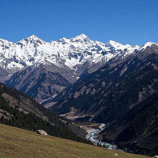 Photograph of a mountain range with snow-capped peaks under a clear blue sky, dark forested slopes, and a winding river in the valley below