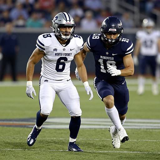 Photograph of two football players: one in white Minnesota uniform (number 6) and one in black Michigan uniform (number 11), running on