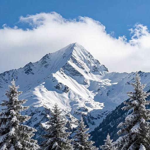 Photograph of a snow-covered, sunlit mountain peak with bright blue sky and fluffy clouds, surrounded by frosted pine trees in the foreground.