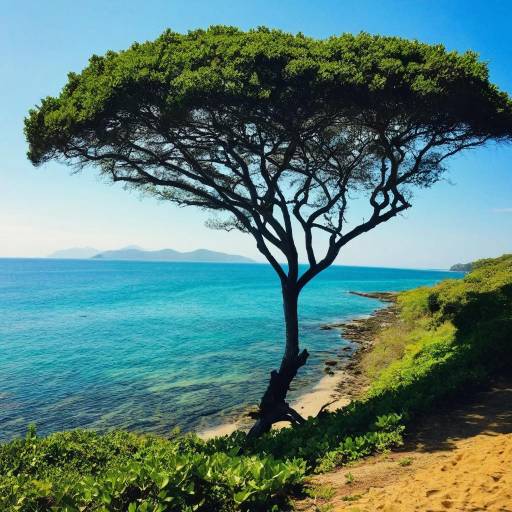 Serene Coastal Nature without Humans