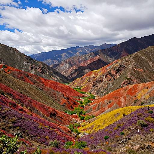 Vibrant photograph of a mountainous landscape with vivid red, orange, yellow, and purple vegetation under a partly cloudy sky. Multicolored slopes