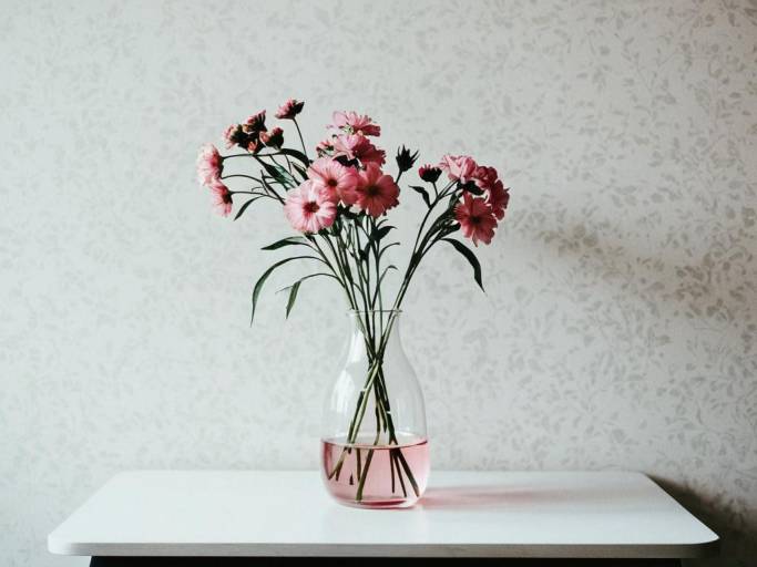 Minimalist Floral Wallpaper Design