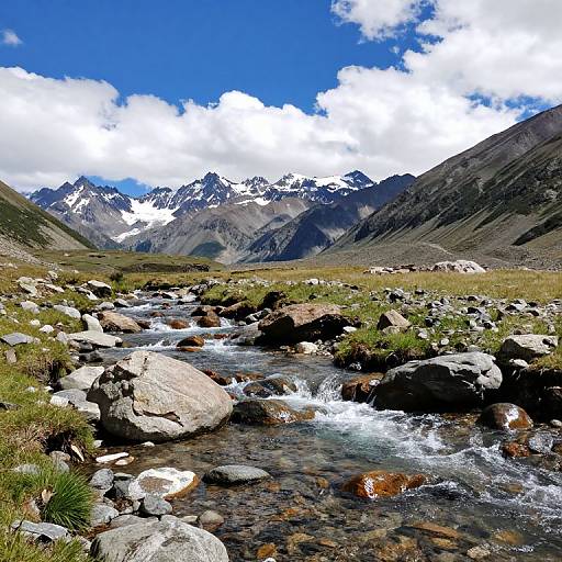 Panoramic Mountain Landscape with Stream