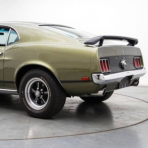 Classic 1970 Ford Mustang for Sale