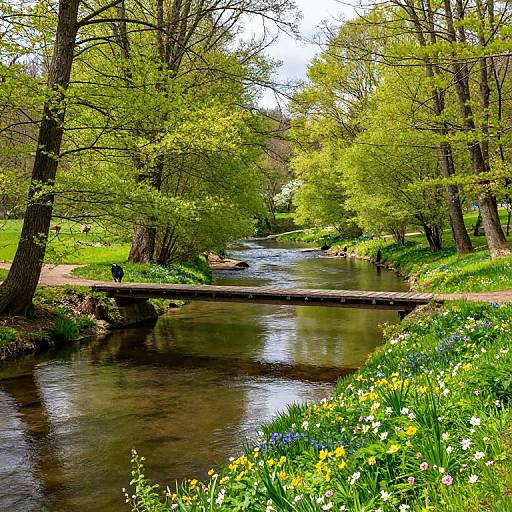 Kurpfalz River in Early Spring