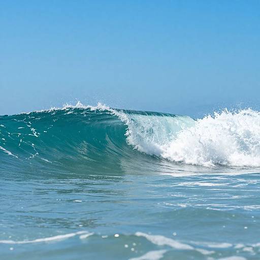 Photograph of a vibrant blue ocean wave cresting with white foam under a clear, bright blue sky, capturing the dynamic motion and energy of the sea
